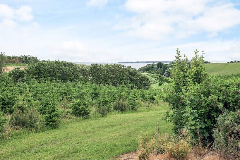 Foto von Ferienhaus GL69 in Rønbjerg - Thy/Limfjord