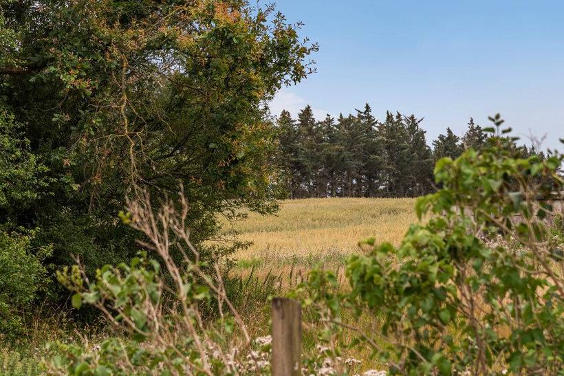 Foto von Ferienhaus GL99 in Løkken - Nordjütland