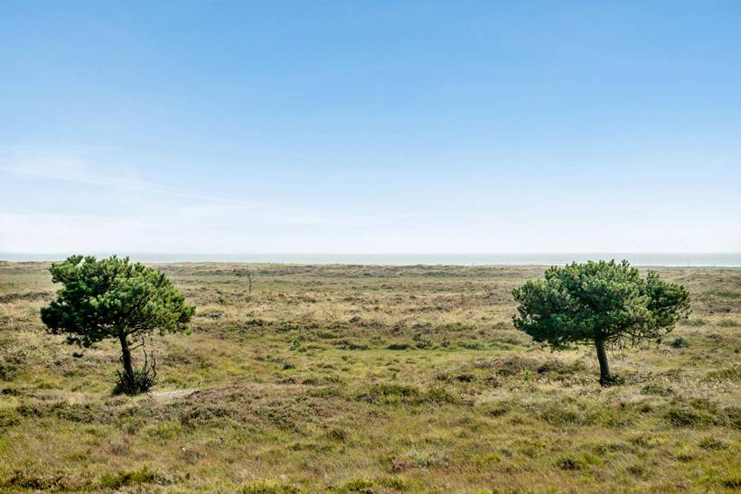 Foto von Ferienhaus GM71 in Sønderstrand - Rømø
