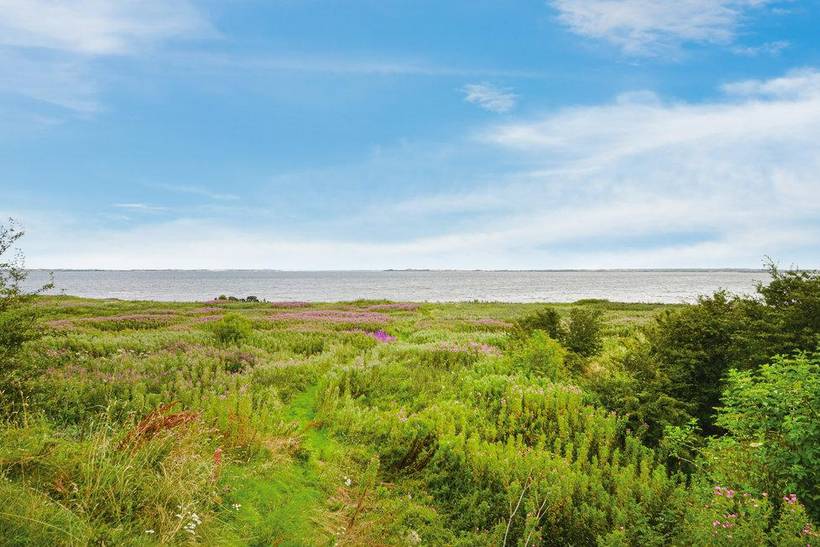 Foto von Ferienhaus GN16 in Futtrup - Thy/Limfjord