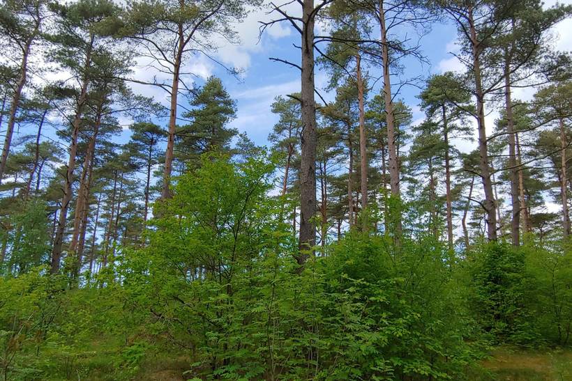 Foto von Ferienhaus GN34 in Jegum - Westjütland