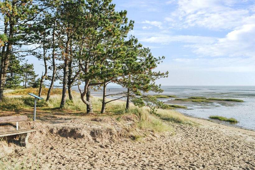 Foto von Ferienhaus GN45 in Kromose - Rømø