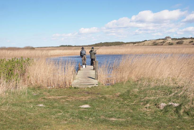 Foto von Ferienhaus GN48 in Bjerregård - Westjütland
