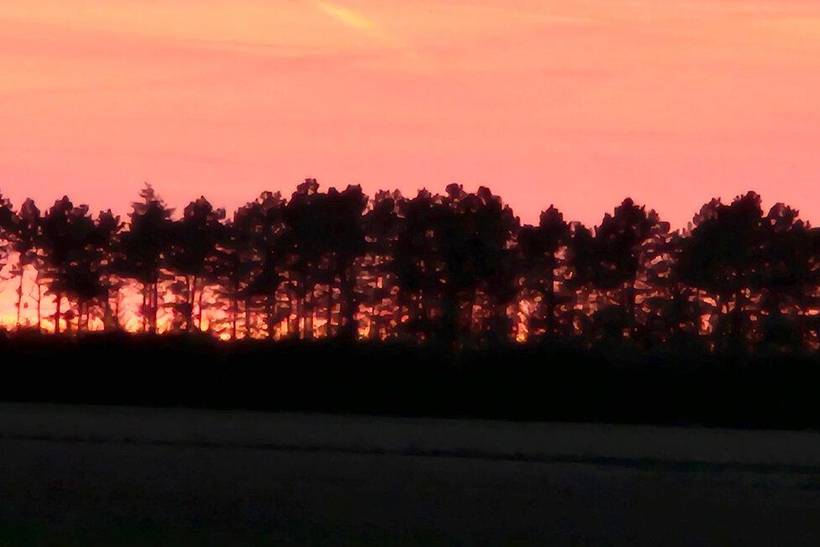 Foto von Ferienhaus GN66 auf Lindelse - Lolland