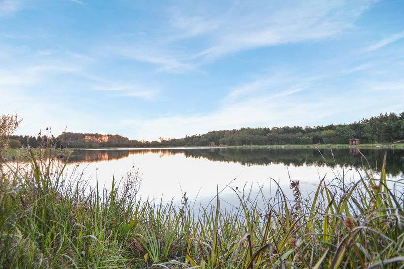 Foto von Ferienhaus GO05 in Arrild - Südjütland