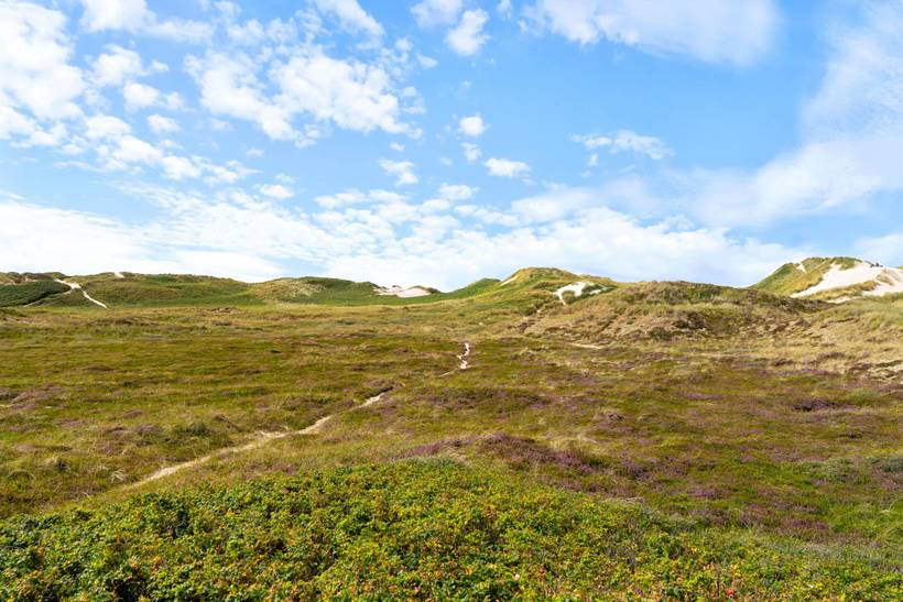 Foto von Ferienhaus GO24 in Søndervig - Westjütland
