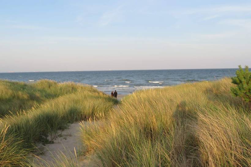 Foto von Ferienhaus GO56 in Ålbæk - Nordjütland Ost