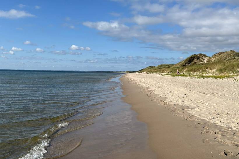 Foto von Ferienhaus GO56 in Ålbæk - Nordjütland Ost