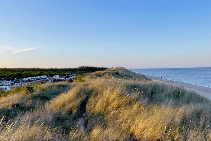 Foto von Ferienhaus GO56 in Ålbæk - Nordjütland Ost