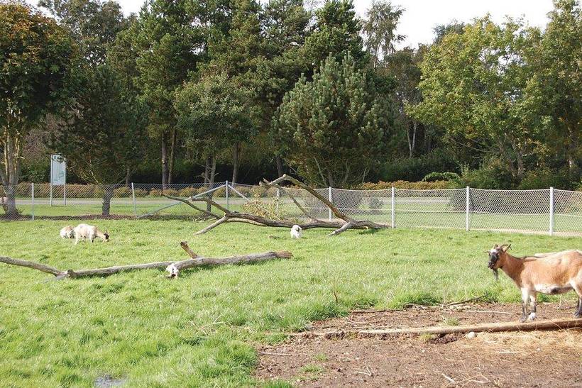 Foto von Ferienhaus GO76 in Jegum - Westjütland