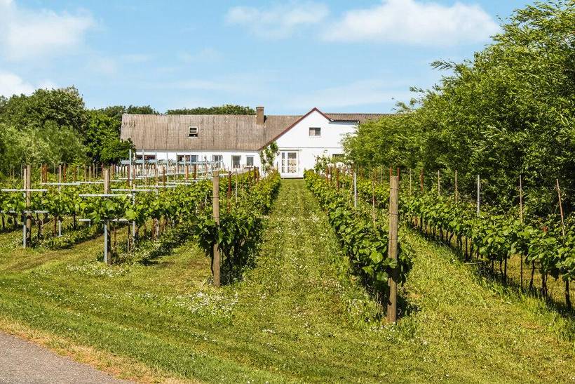 Foto von Ferienhaus GP34 in Næsbydale - Thy/Limfjord