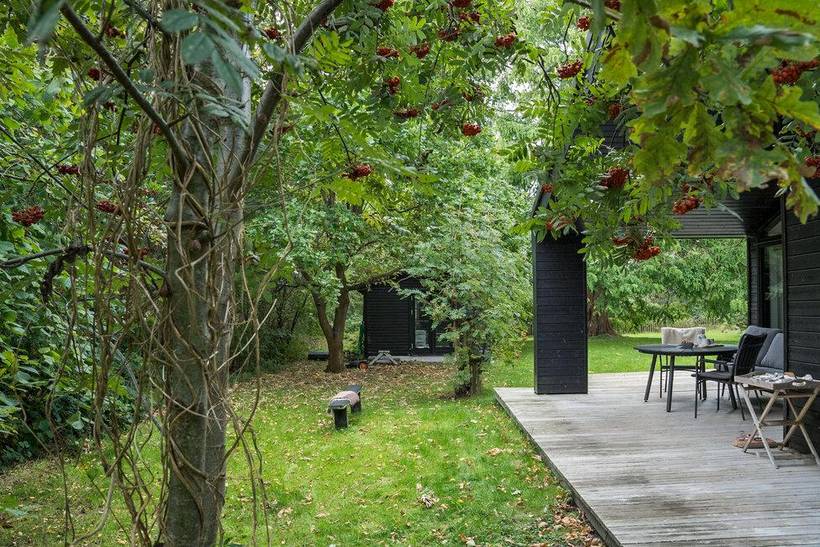 Foto von Ferienhaus GP99 in Ulvshale - Møn