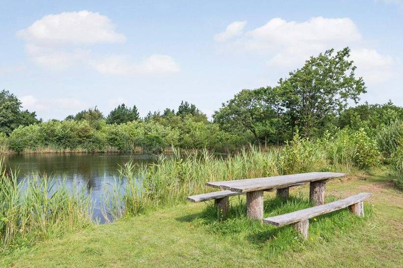 Foto von Ferienhaus GQ06 in Lodbjerg Hede - Søndervig - Westjütland