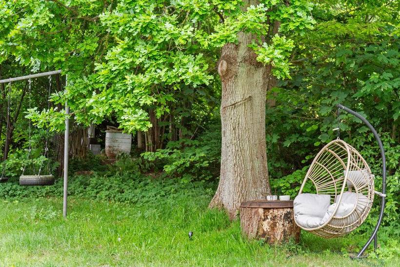 Foto von Ferienhaus GQ75 in Udsholt - Rågeleje - Nordseeland