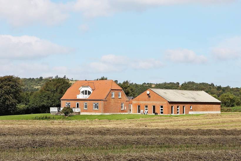 Foto von Ferienhaus GQ77 in Fur - Thy/Limfjord