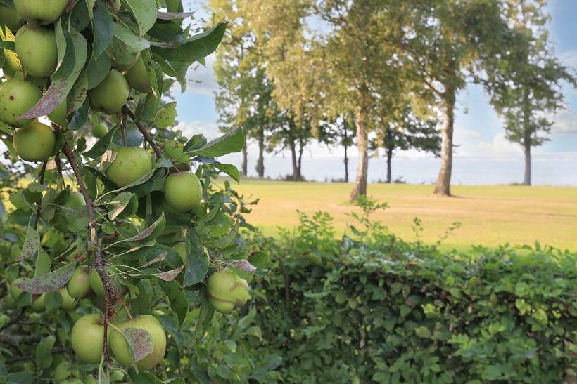 Foto von Ferienhaus GR25 in Stubbekøbing - Falster