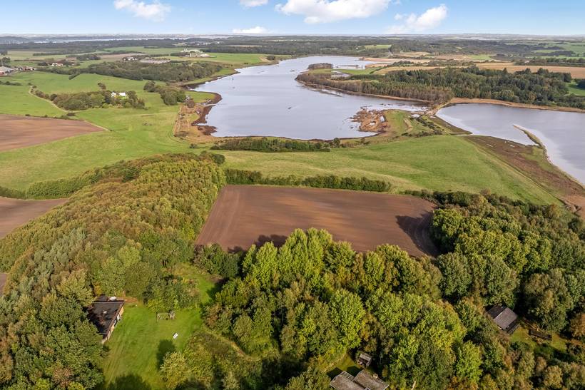 Foto von Ferienhaus GR36 in Salling - Thy/Limfjord