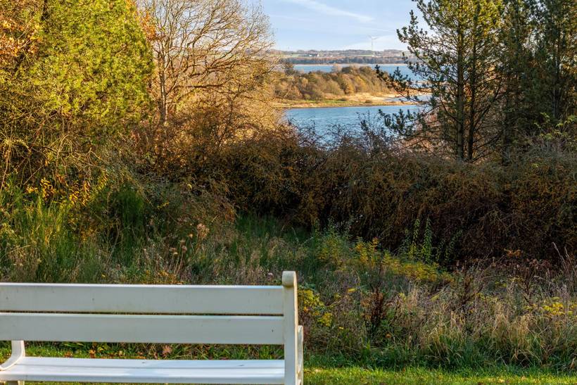 Foto von Ferienhaus GR36 in Salling - Thy/Limfjord