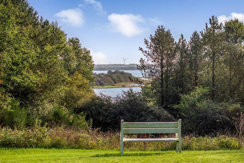 Foto von Ferienhaus GR36 in Salling - Thy/Limfjord