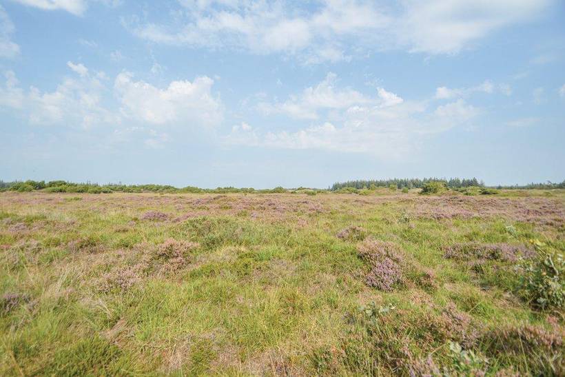 Foto von Ferienhaus GR46 in Arrild - Südjütland