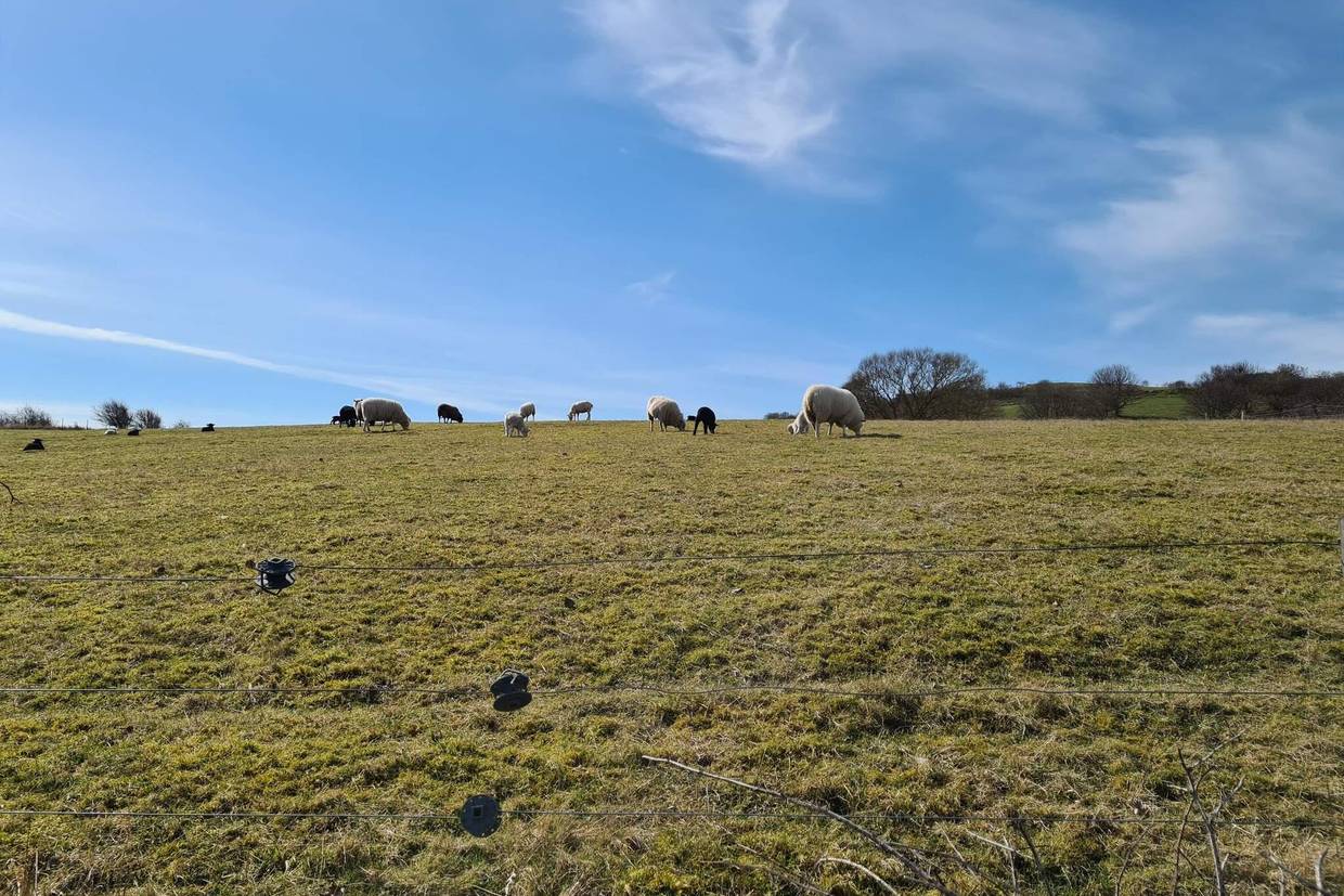 Foto von Ferienhaus GR51 in Fyns Hoved - Kerteminde - Nordfünen