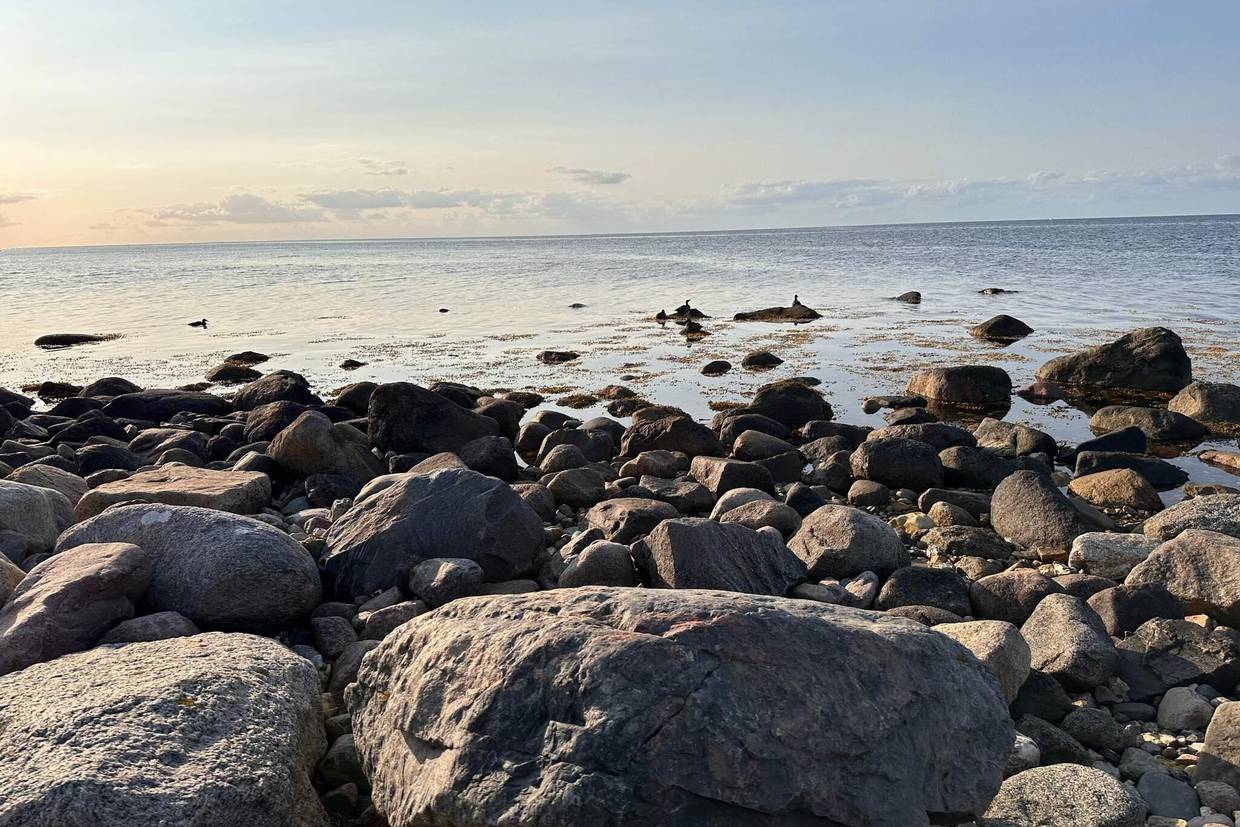 Foto von Ferienhaus GR51 in Fyns Hoved - Kerteminde - Nordfünen