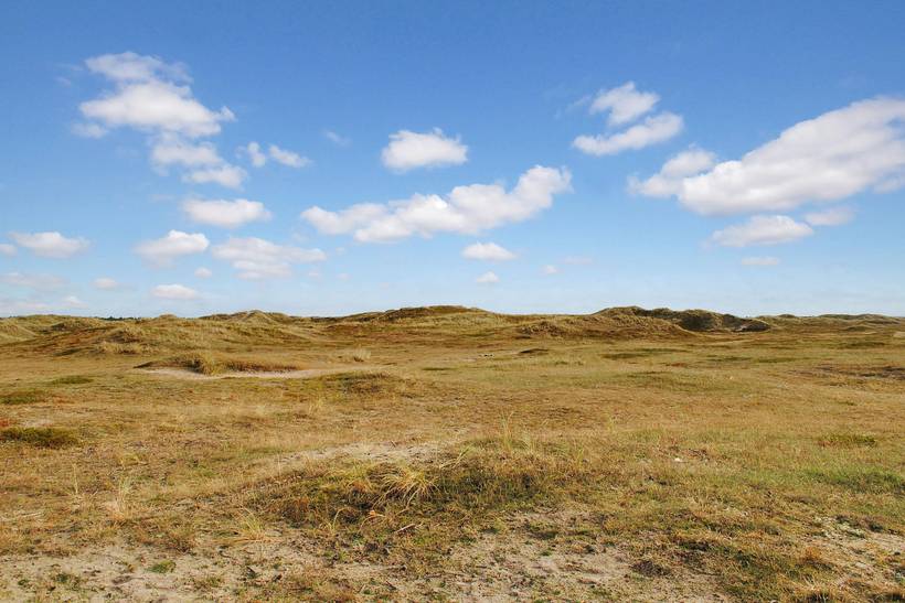Foto von Ferienhaus GS07 in Bjerregård - Westjütland
