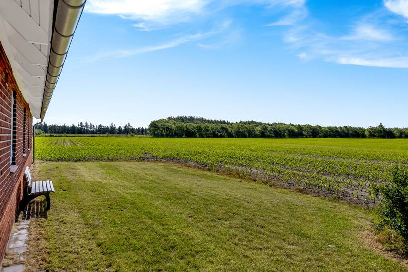 Foto von Ferienhaus GS99 in Ballum - Südjütland