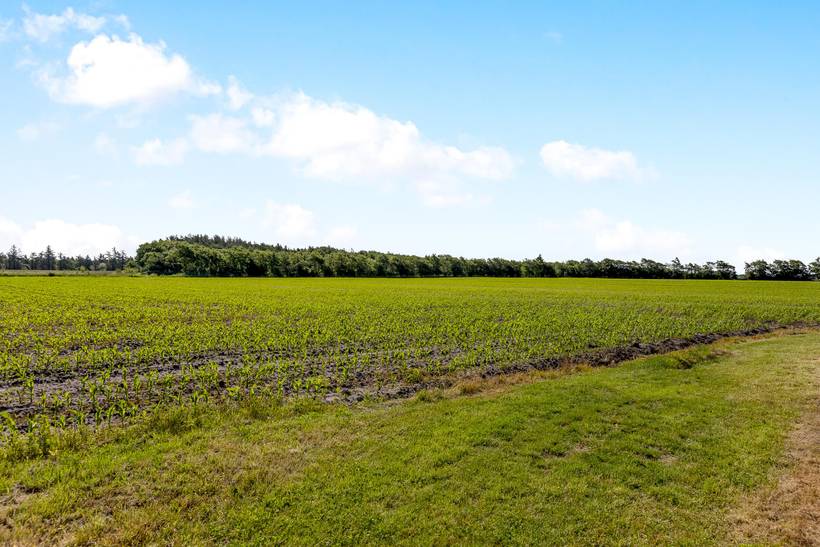 Foto von Ferienhaus GS99 in Ballum - Südjütland