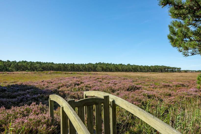 Foto von Ferienhaus GT02 in Bolilmark - Rømø