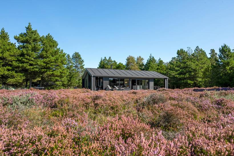 Foto von Ferienhaus GT02 in Bolilmark - Rømø