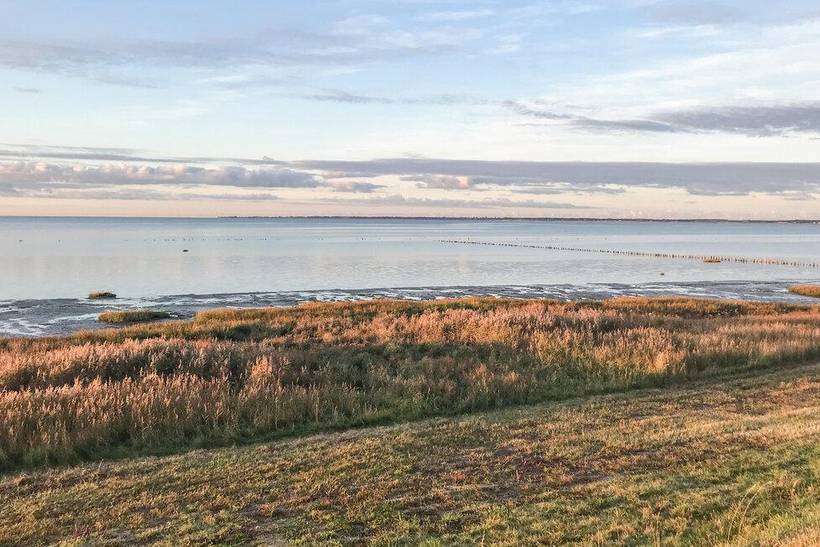 Foto von Ferienhaus GT57 in Havneby - Rømø