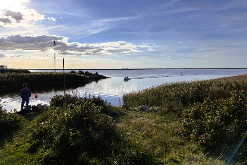 Foto von Ferienhaus GU49 in Bork Havn - Westjütland