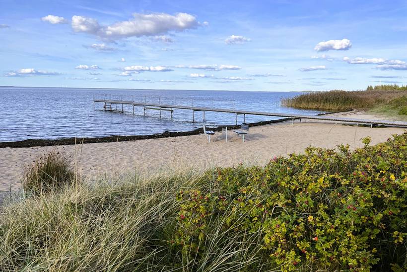 Foto von Ferienhaus GU49 in Bork Havn - Westjütland