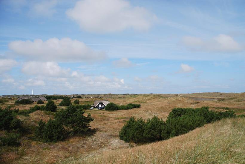 Foto von Ferienhaus GU63 in Blåvand - Westjütland