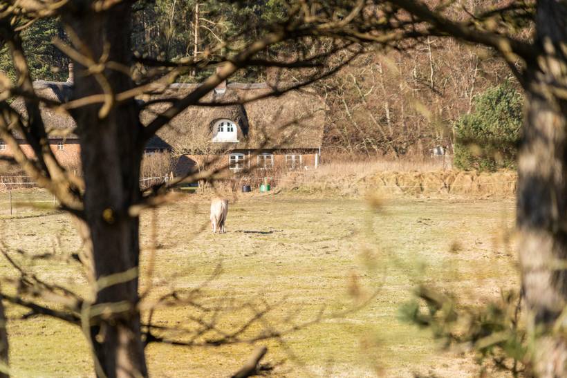 Foto von Ferienhaus GU67 in Sønderstrand - Rømø