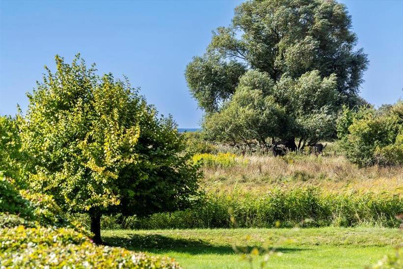 Foto von Ferienhaus GU89 auf Bisserup - Südseeland