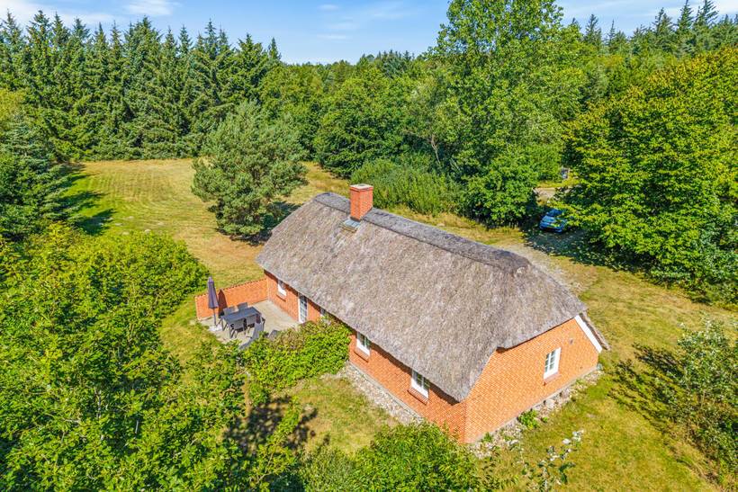 Foto von Ferienhaus GV21 in Vester Husby - Westjütland