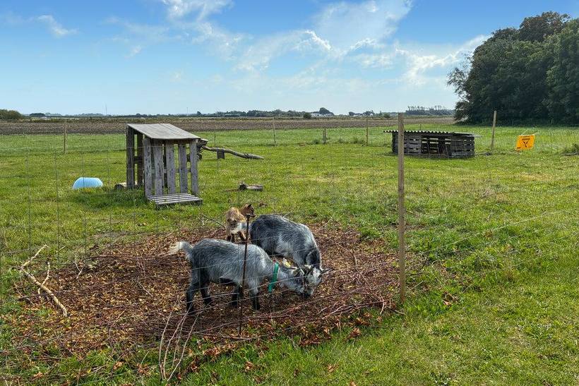 Foto von Ferienhaus GV55 in Højer - Südjütland