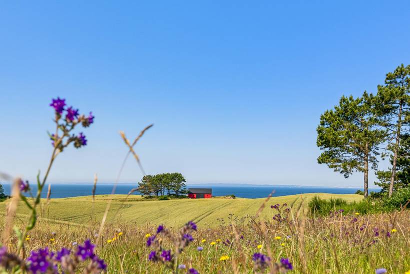 Foto von Ferienhaus GW87 in Helgenæs - Mols - Ostjütland