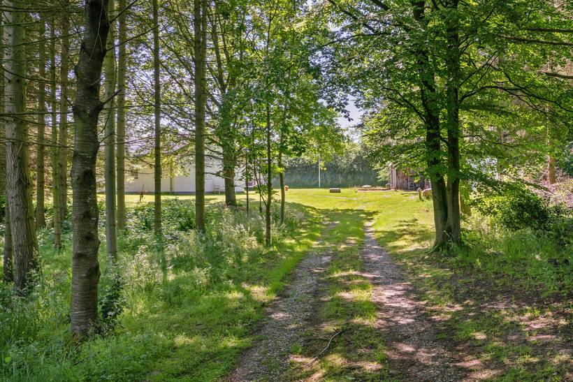 Foto von Ferienhaus GX04 in Skallerup Klit - Lønstrup - Nordjütland
