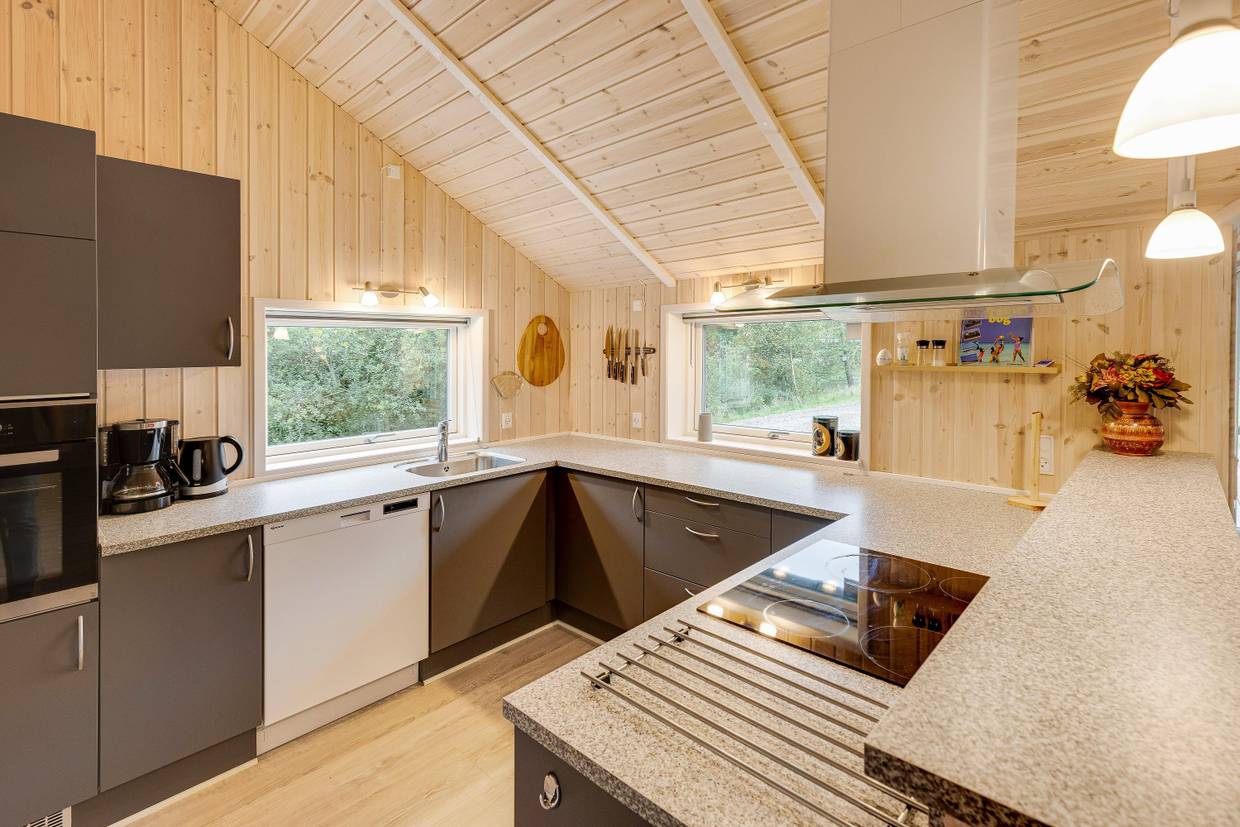 Foto von Ferienhaus GX57 in Houstrup - Westjütland