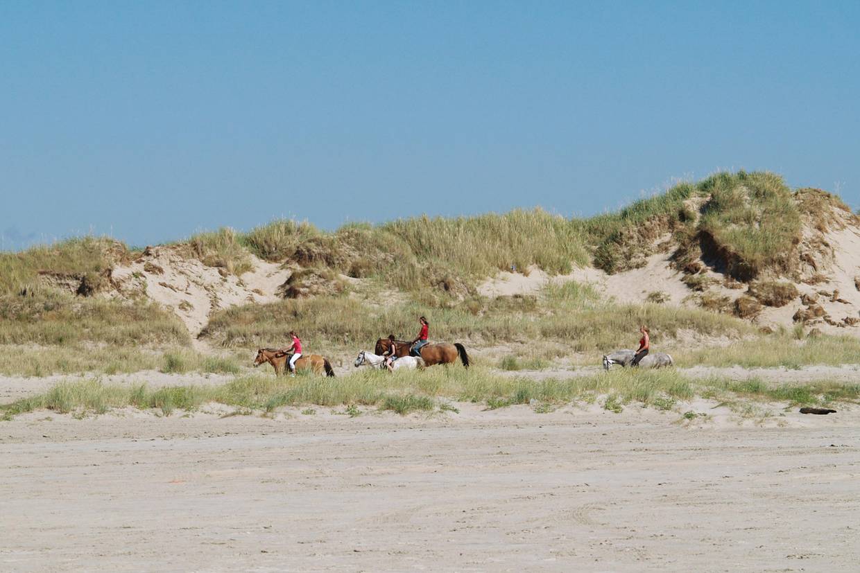 Foto von Ferienhaus GX73 in Havneby - Rømø