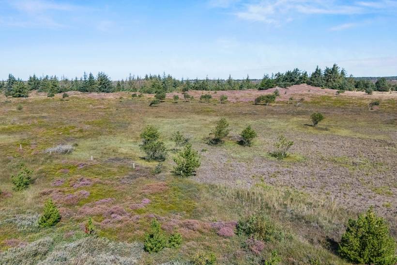Foto von Ferienhaus GZ17 in Kongsmark - Rømø
