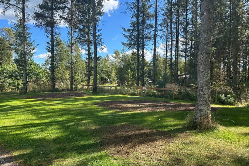 Foto von Ferienhaus HA91 in Melholt - Nordjütland Ost