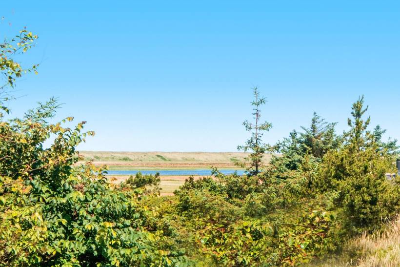 Foto von Ferienhaus HA97 in Fjand - Westjütland