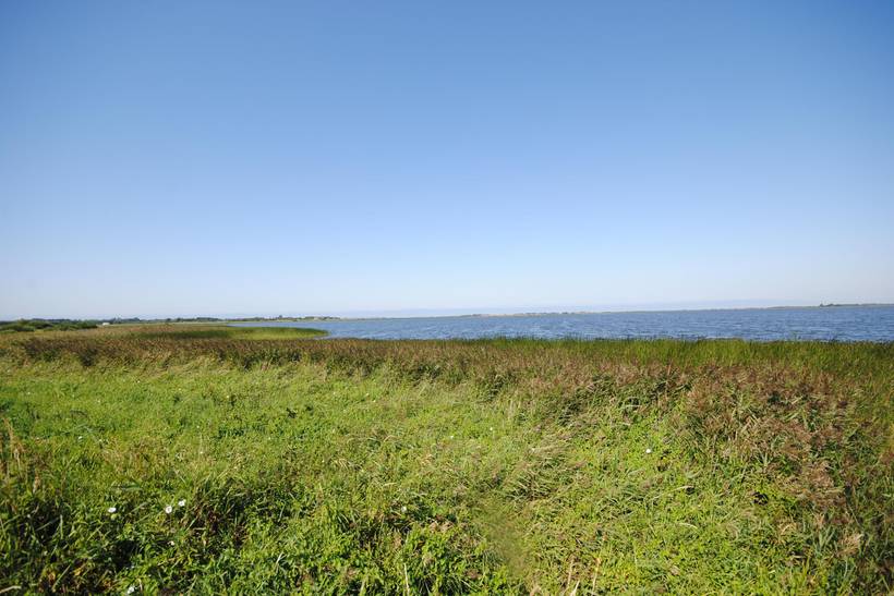 Foto von Ferienhaus HB50 in Lodbjerg Hede - Søndervig - Westjütland