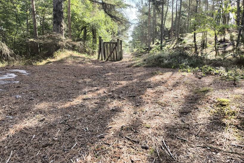 Foto von Ferienhaus HB87 in Skiveren - Tversted - Nordjütland