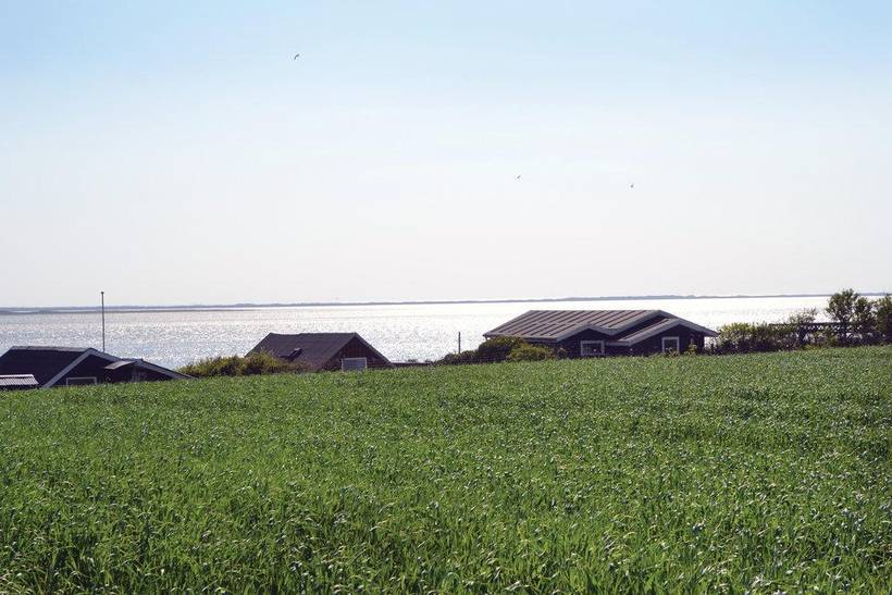 Foto von Ferienhaus HC15 in Esbjerg - Westjütland