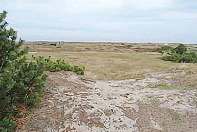 Foto von Ferienhaus HC28 in Blåvand - Westjütland